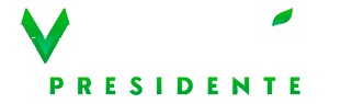 Responsive Logo